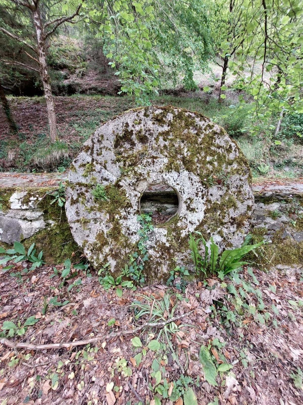 Moulin De Serre Cassagnes-Bégonhès Eksteriør bilde